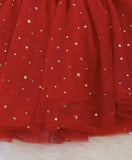 AC Red Soft Velvet with Tulle Dress