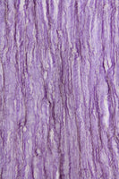 AC Silk Metallic Tissue Scarf