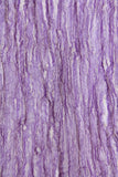 AC Silk Metallic Tissue Scarf