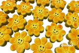 OAV Happy Daisy Bath Bomb