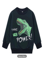 SBV Boys Rawr Sweater