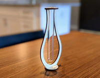 Simple Propagation Tube Bud Vase