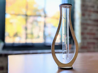 Simple Propagation Tube Bud Vase